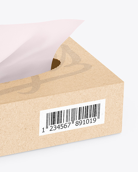 Kraft Paper Box w/ Wipes Mockup