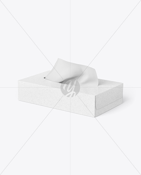 Kraft Paper Box w/ Wipes Mockup