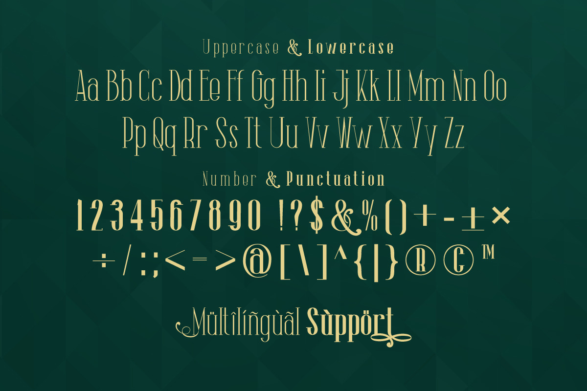 The Lingke - Stylish Modern Serif Font The Lingke - Stylish Modern Serif Font