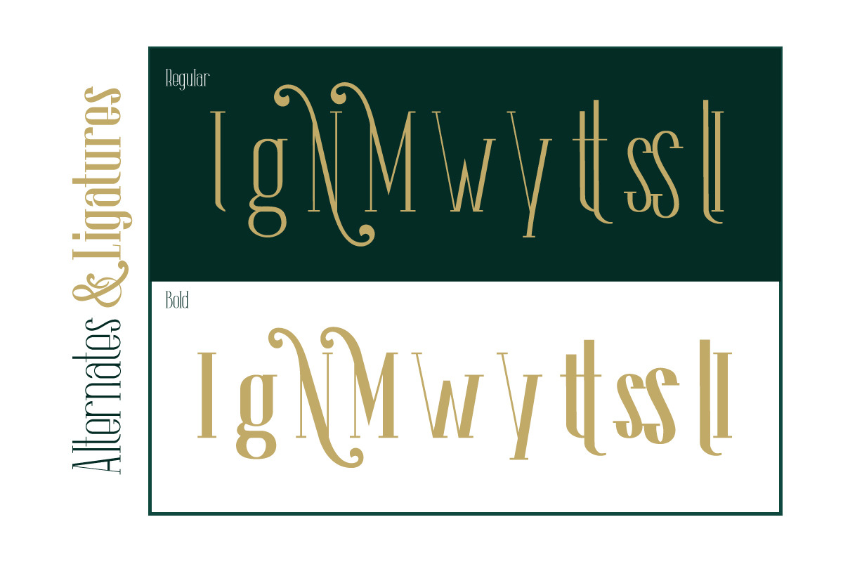 The Lingke - Stylish Modern Serif Font The Lingke - Stylish Modern Serif Font
