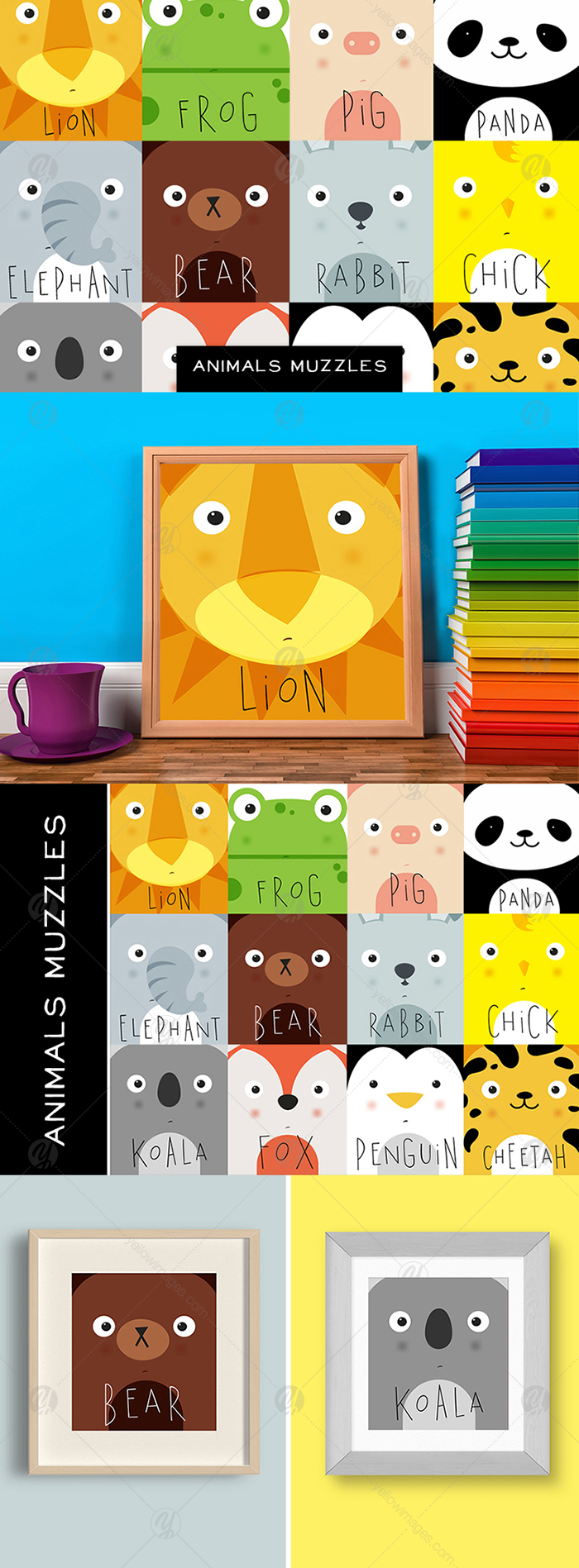 Animals Muzzles Animals Muzzles