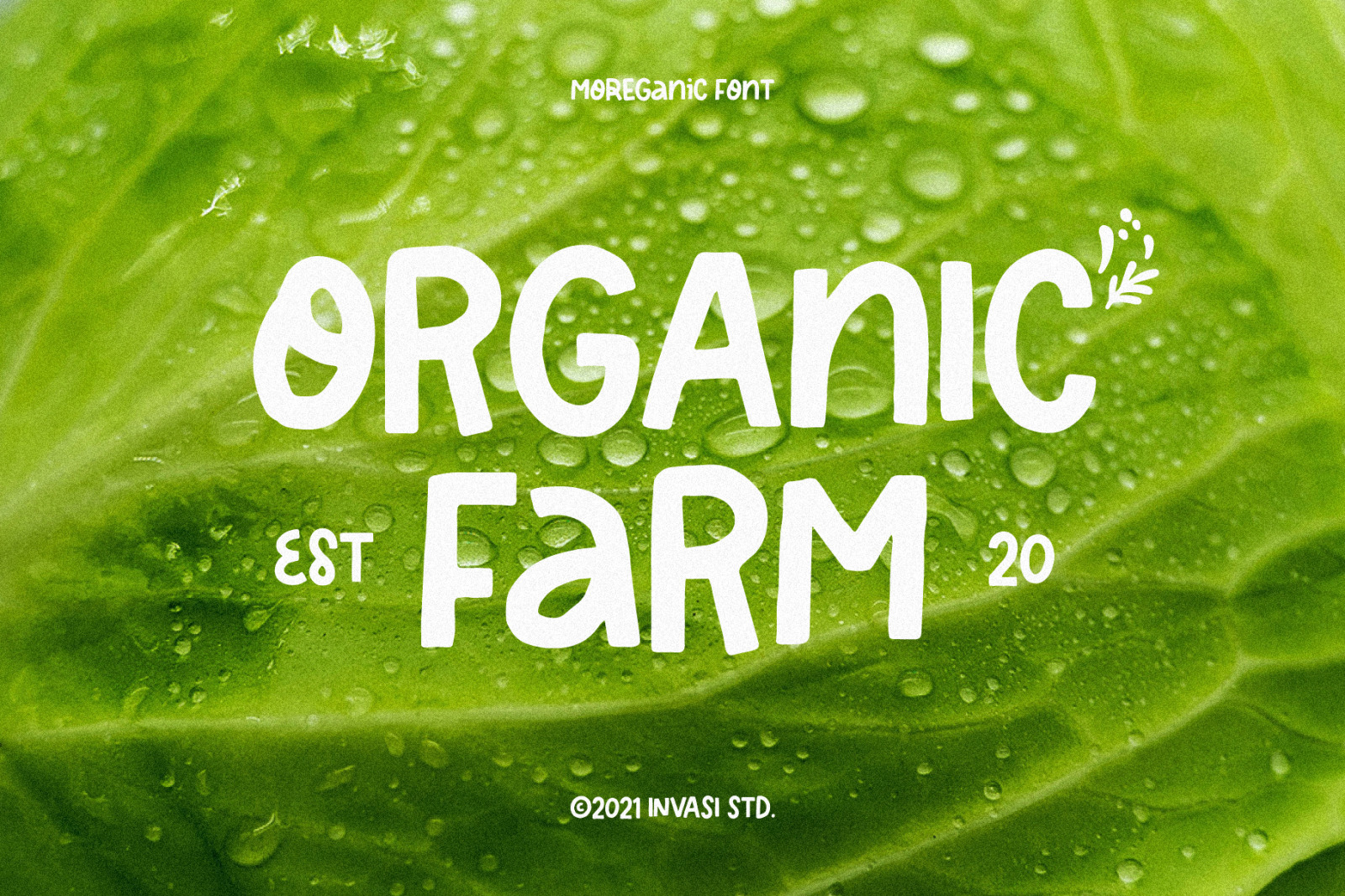 Moreganic - Organic Font