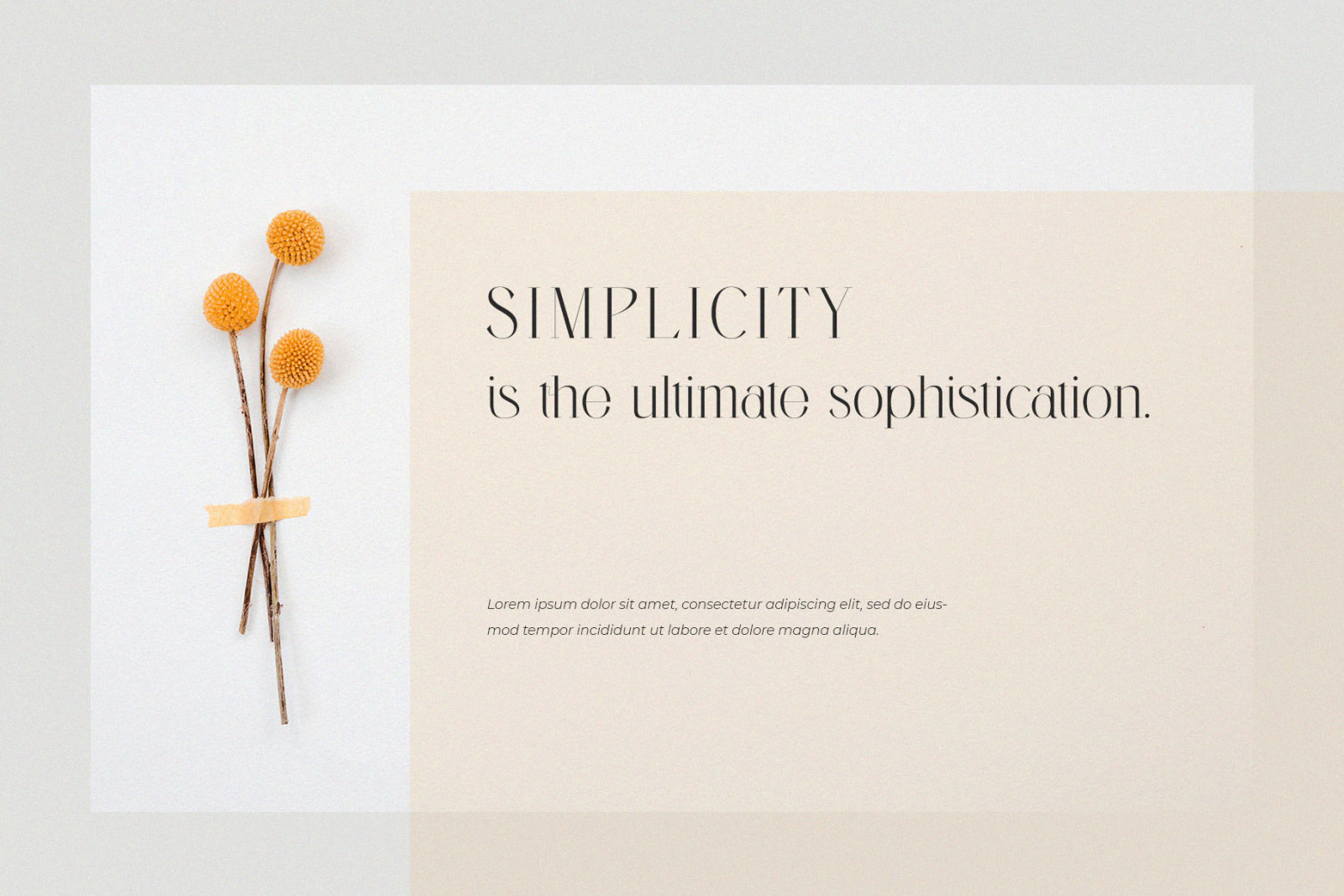 Menorca – Stylish Typeface Menorca – Stylish Typeface
