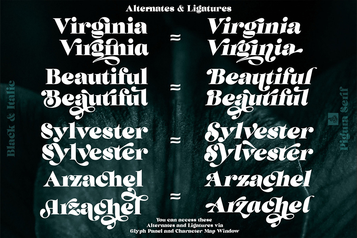 Pigura - Modern Serif Typeface Pigura - Modern Serif Typeface
