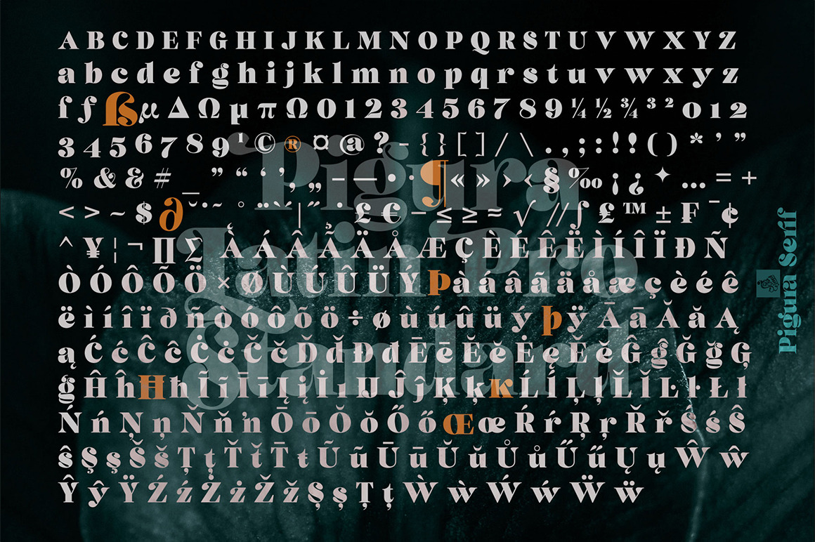 Pigura - Modern Serif Typeface Pigura - Modern Serif Typeface
