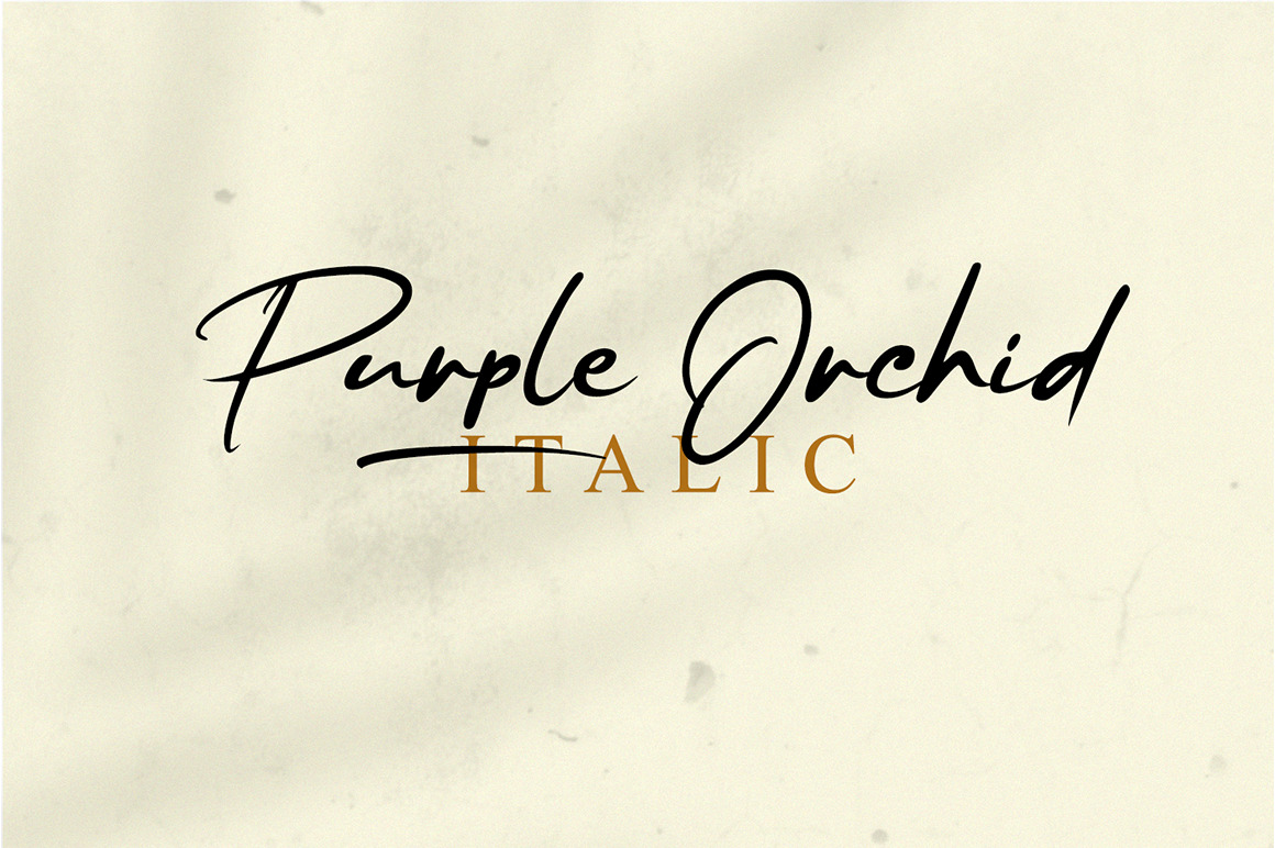 Purple Orchid Font