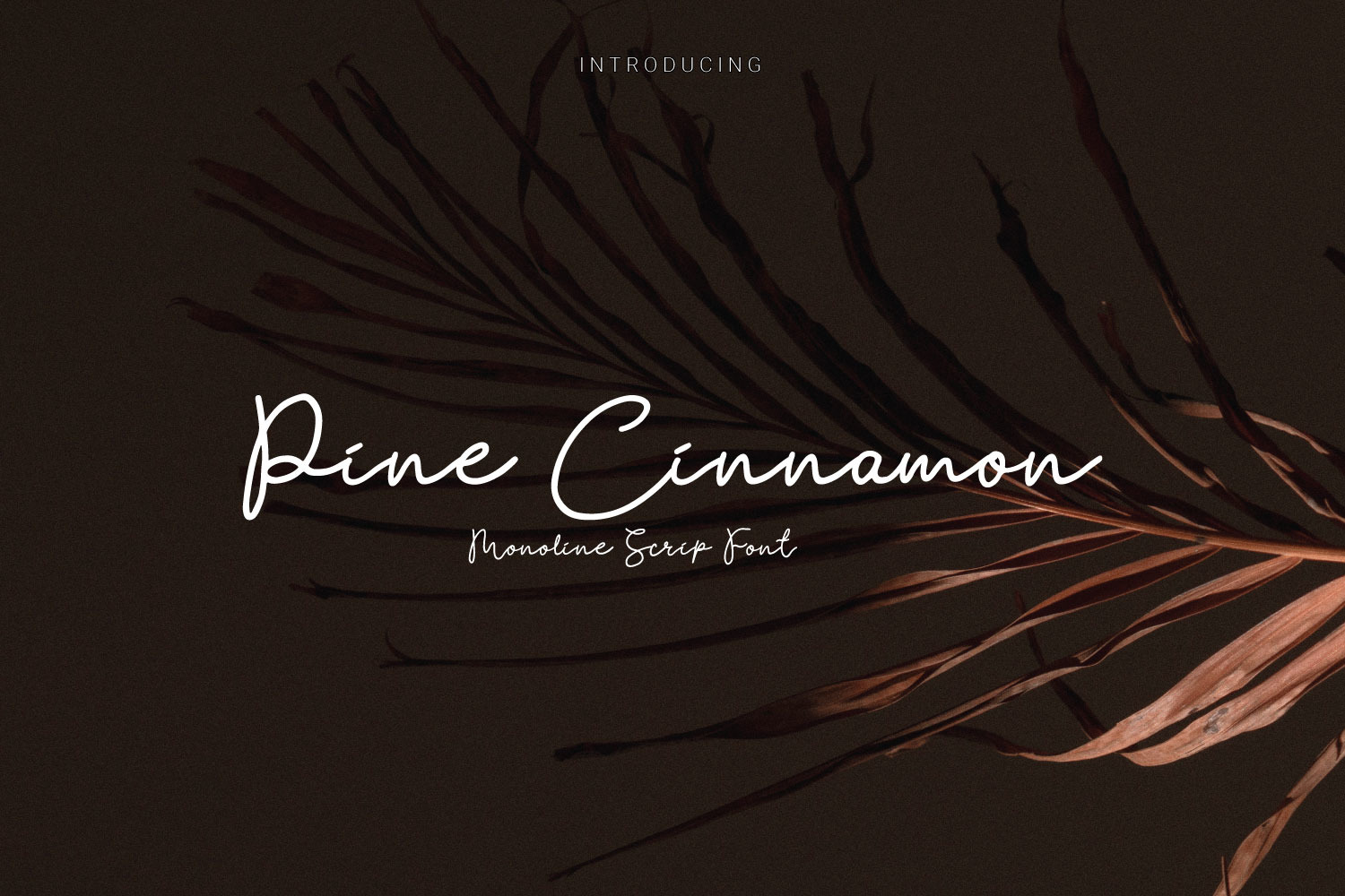 Pine Cinnamon Font Pine Cinnamon Font
