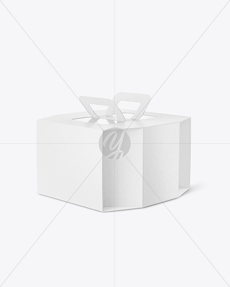 Octagonal Kraft Box w/ Handle Mockup