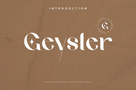 Geyster Modern Vintage Font - Chunky