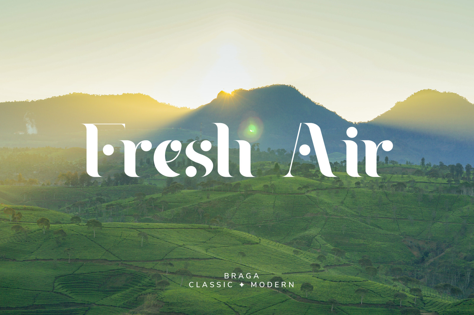 Braga Serif - Classic & Modern Braga Serif - Classic & Modern