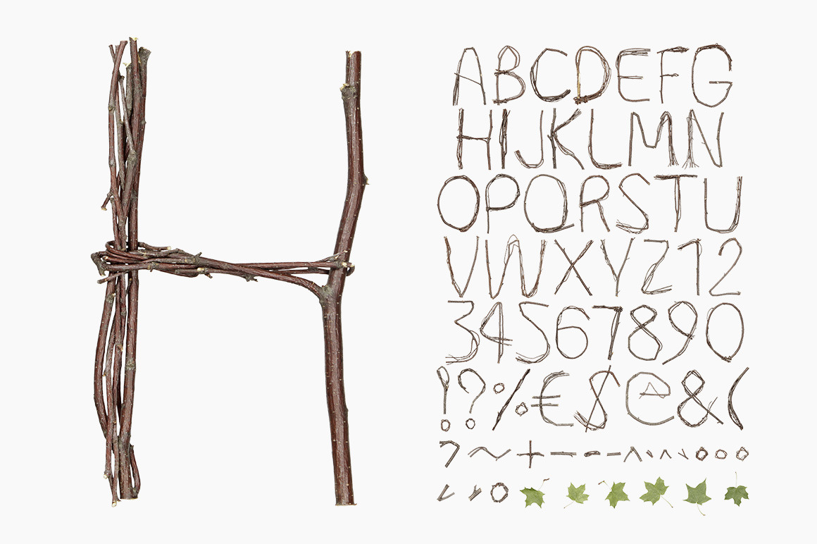 Twigs Font Twigs Font
