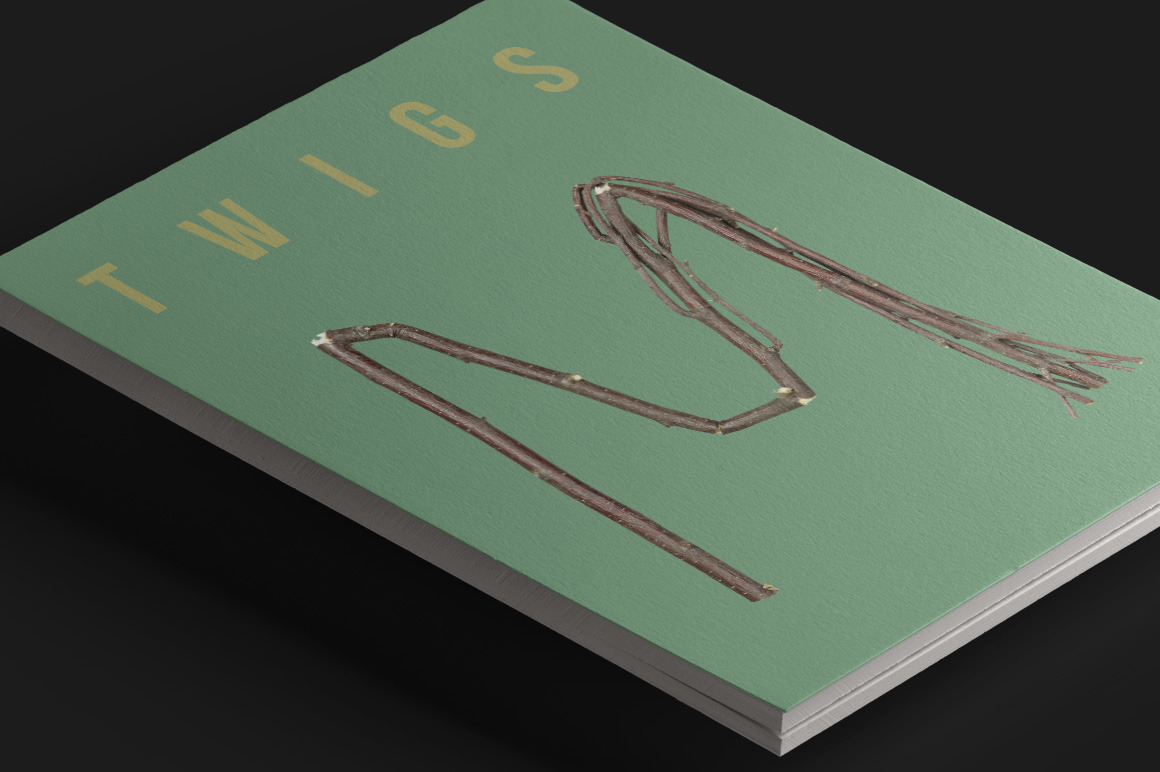 Twigs Font Twigs Font