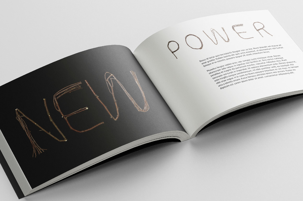 Twigs Font Twigs Font