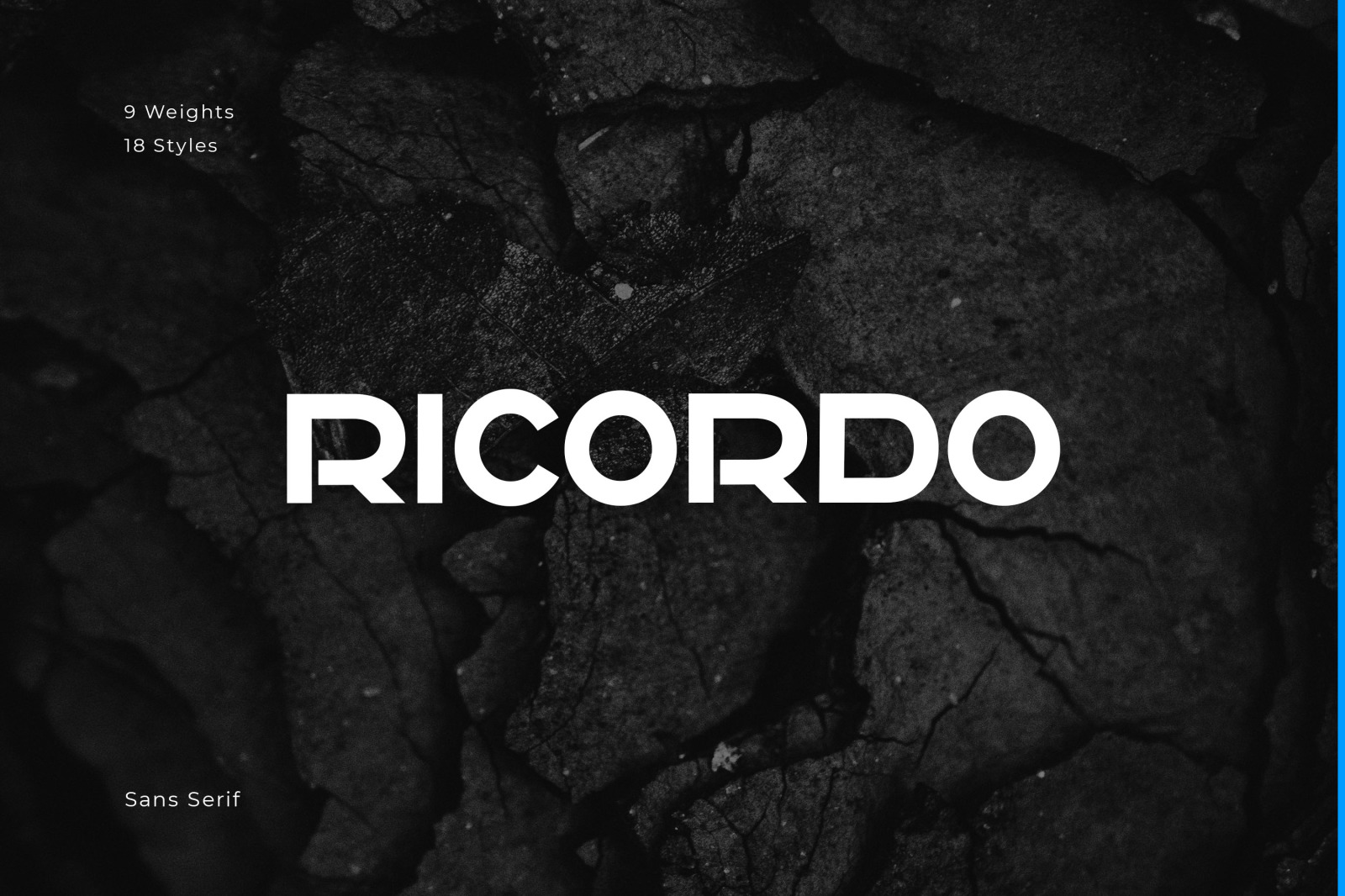 RICORDO FONT RICORDO FONT