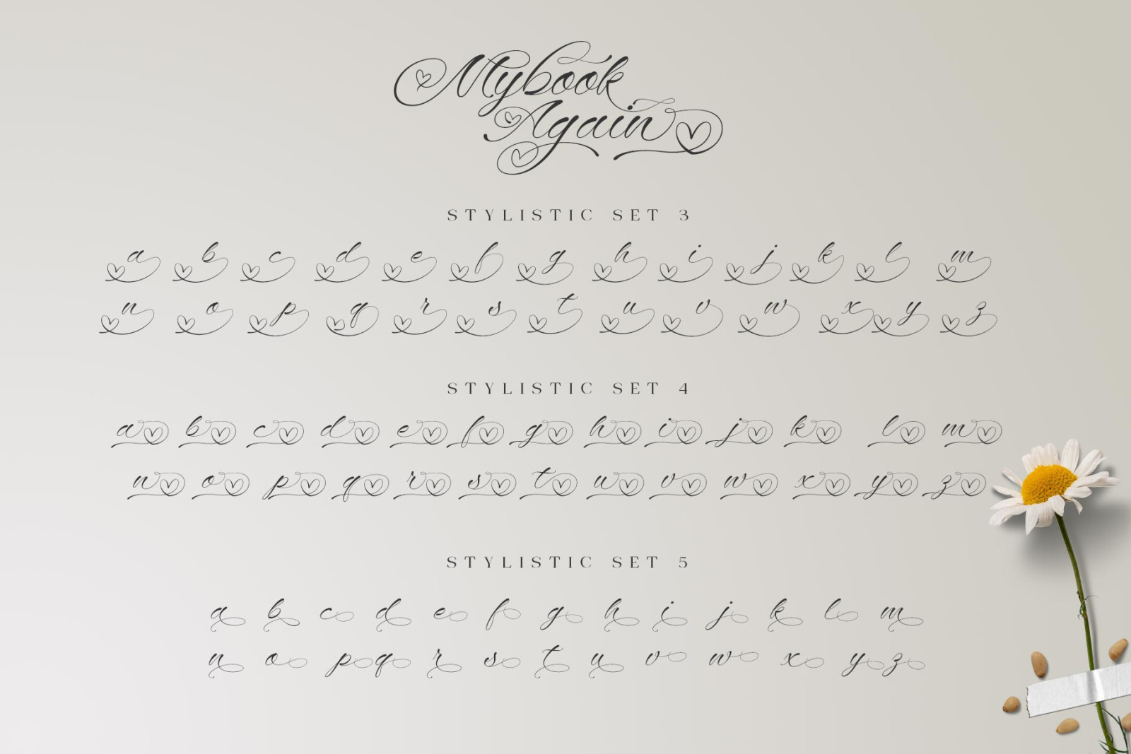 Mybook Again Romantic Script Font Mybook Again Romantic Script Font