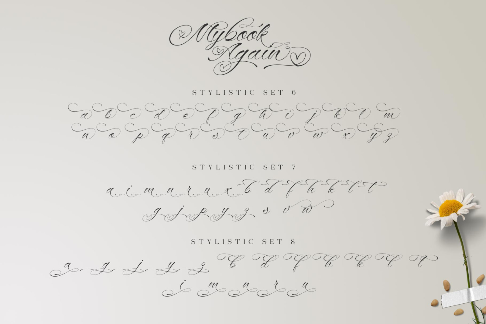 Mybook Again Romantic Script Font Mybook Again Romantic Script Font