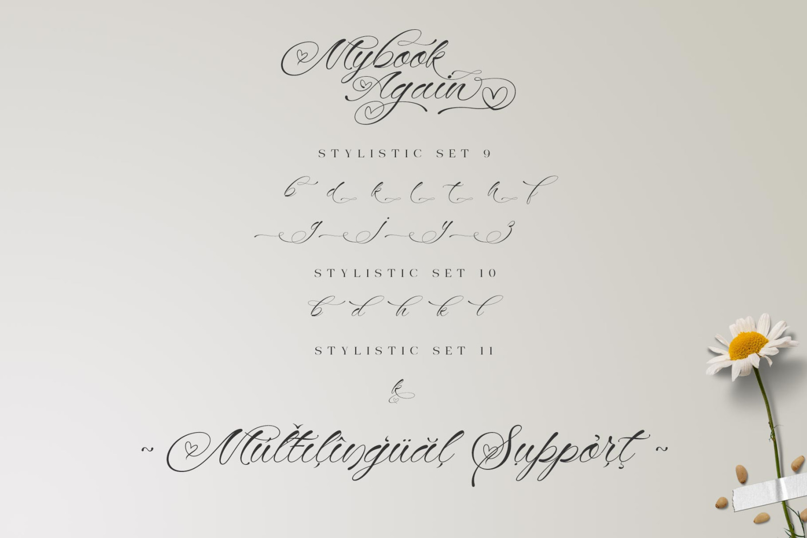 Mybook Again Romantic Script Font Mybook Again Romantic Script Font
