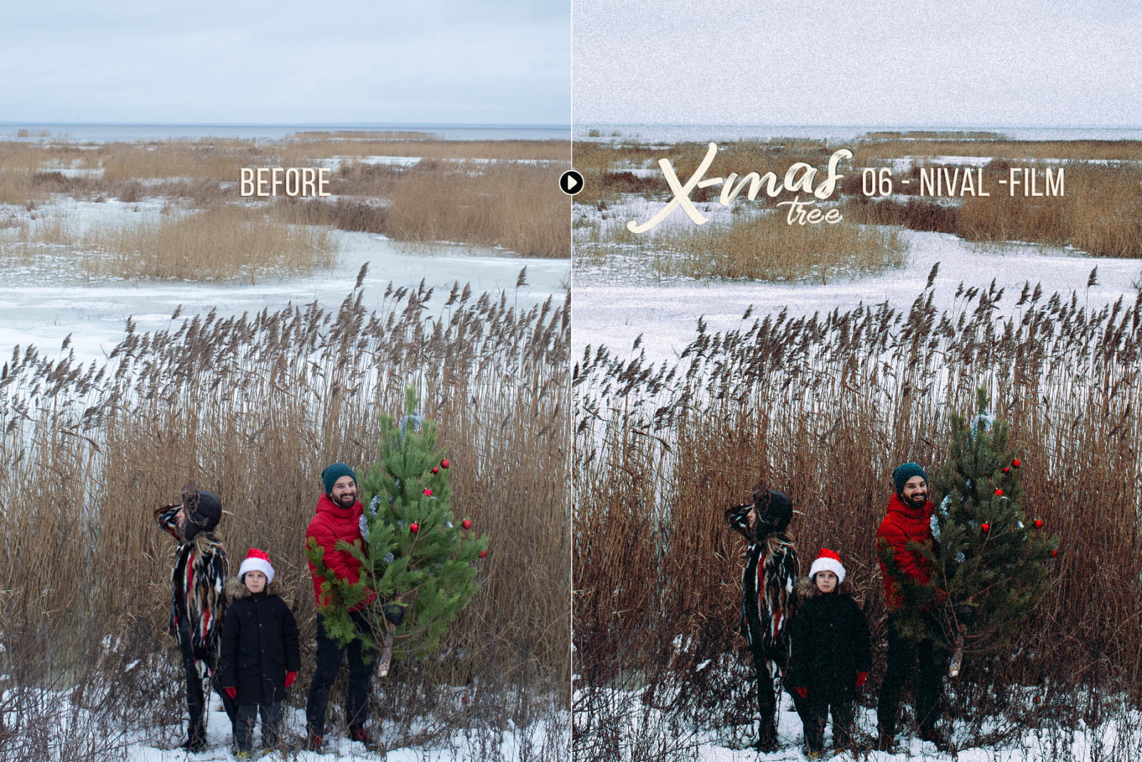 Xmas Tree - Winter Photography Presets Xmas Tree - Winter Photography Presets