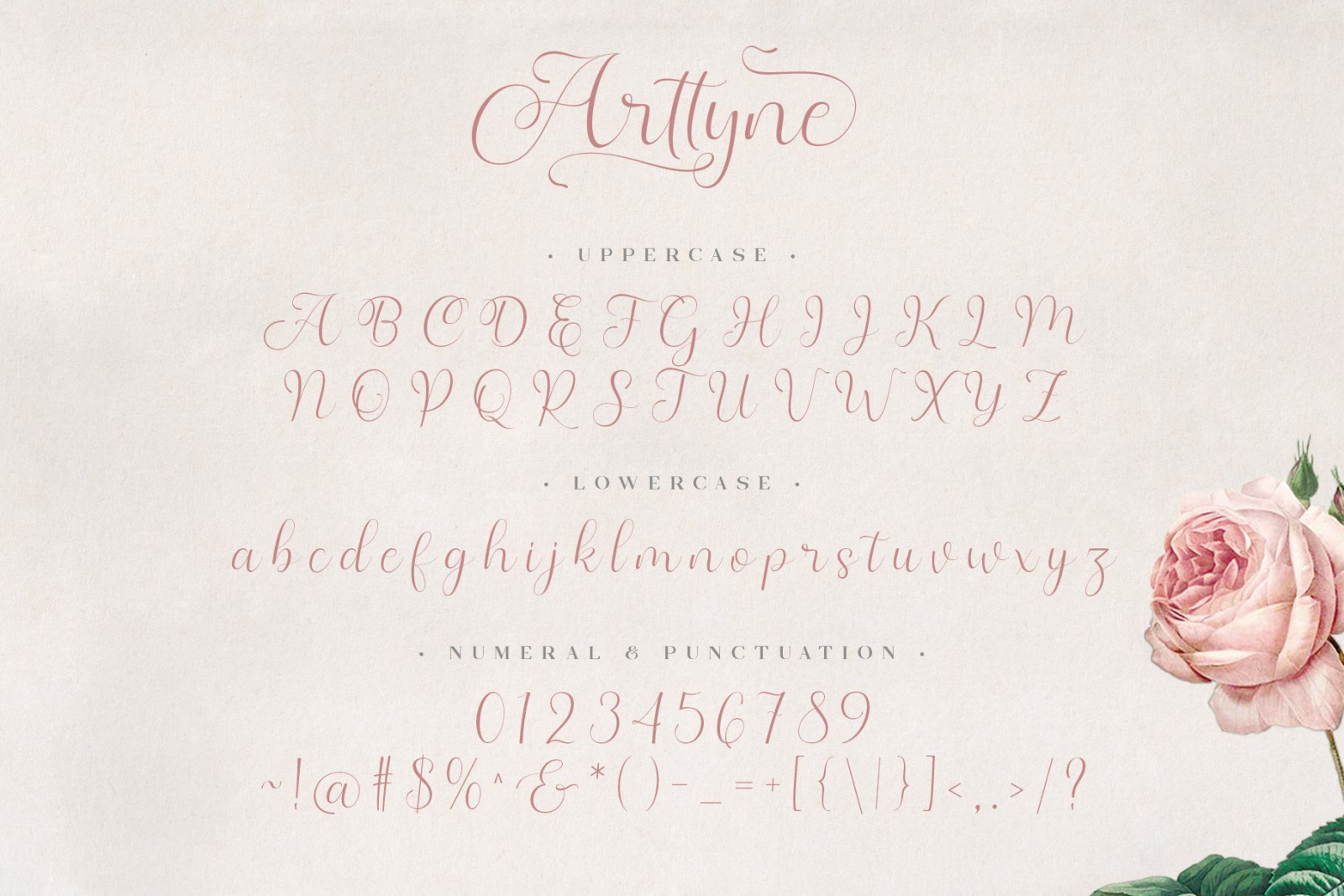 Arttyne Modern Script Font