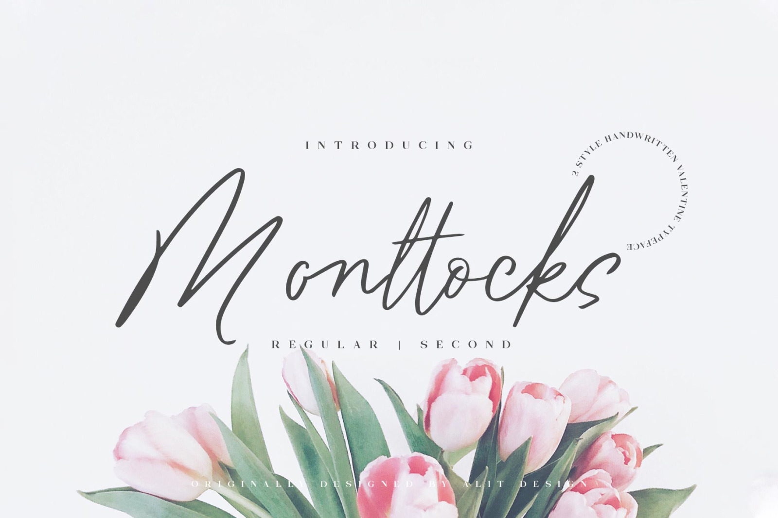 Monttocks Script Font Monttocks Script Font