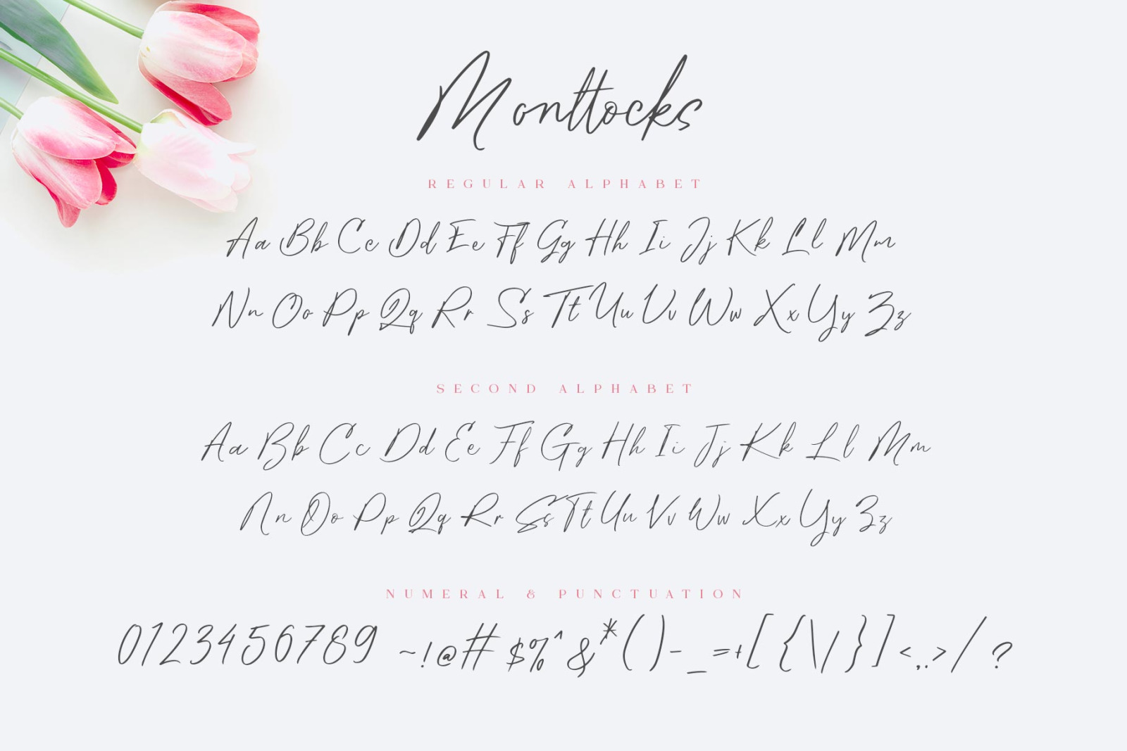 Monttocks Script Font Monttocks Script Font