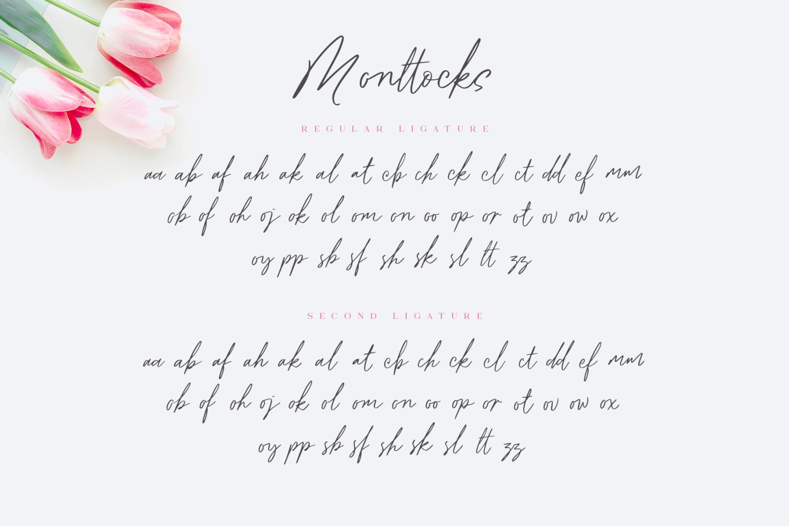 Monttocks Script Font Monttocks Script Font