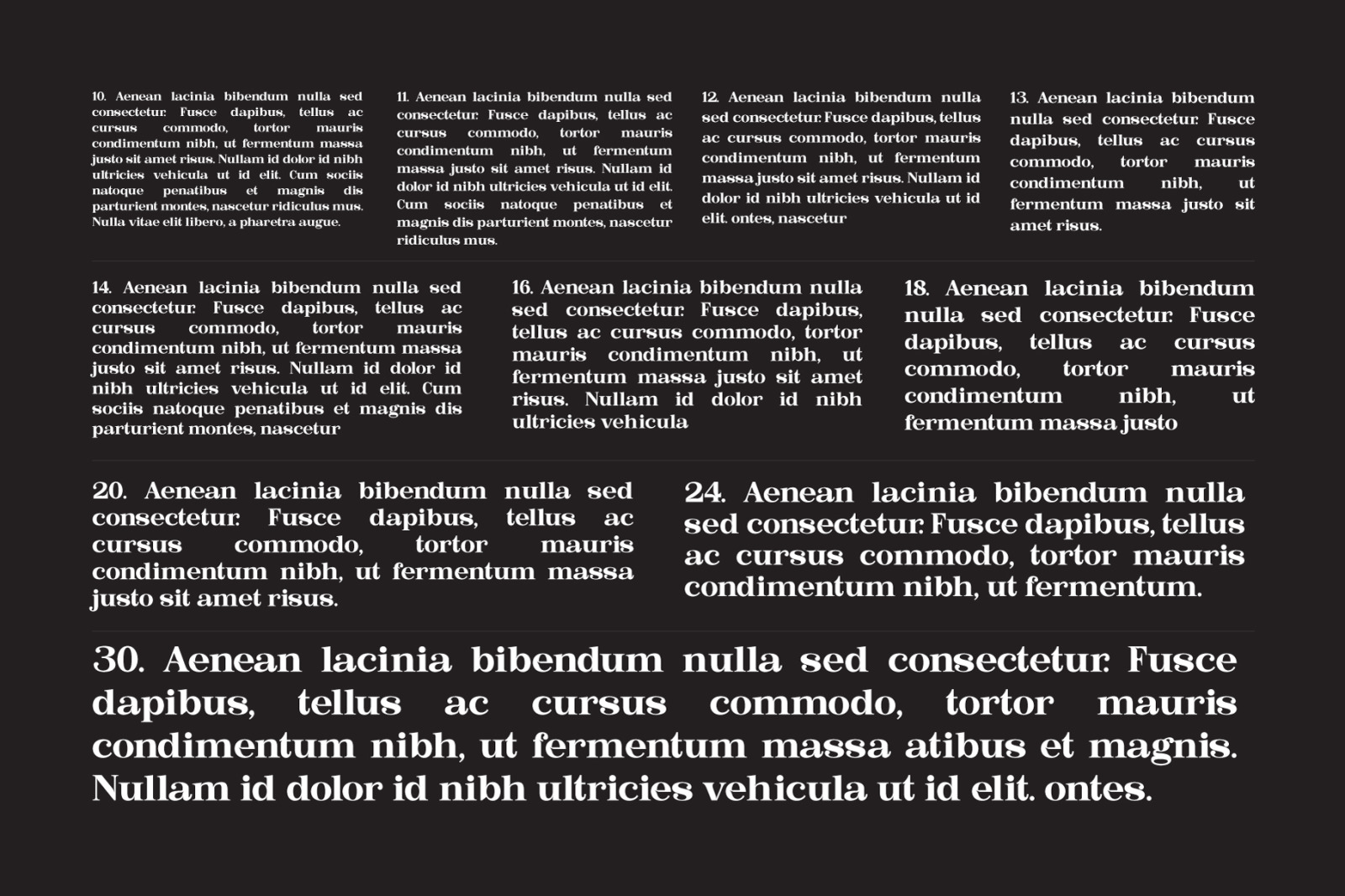 Bastine - Modern Classy Serif Font