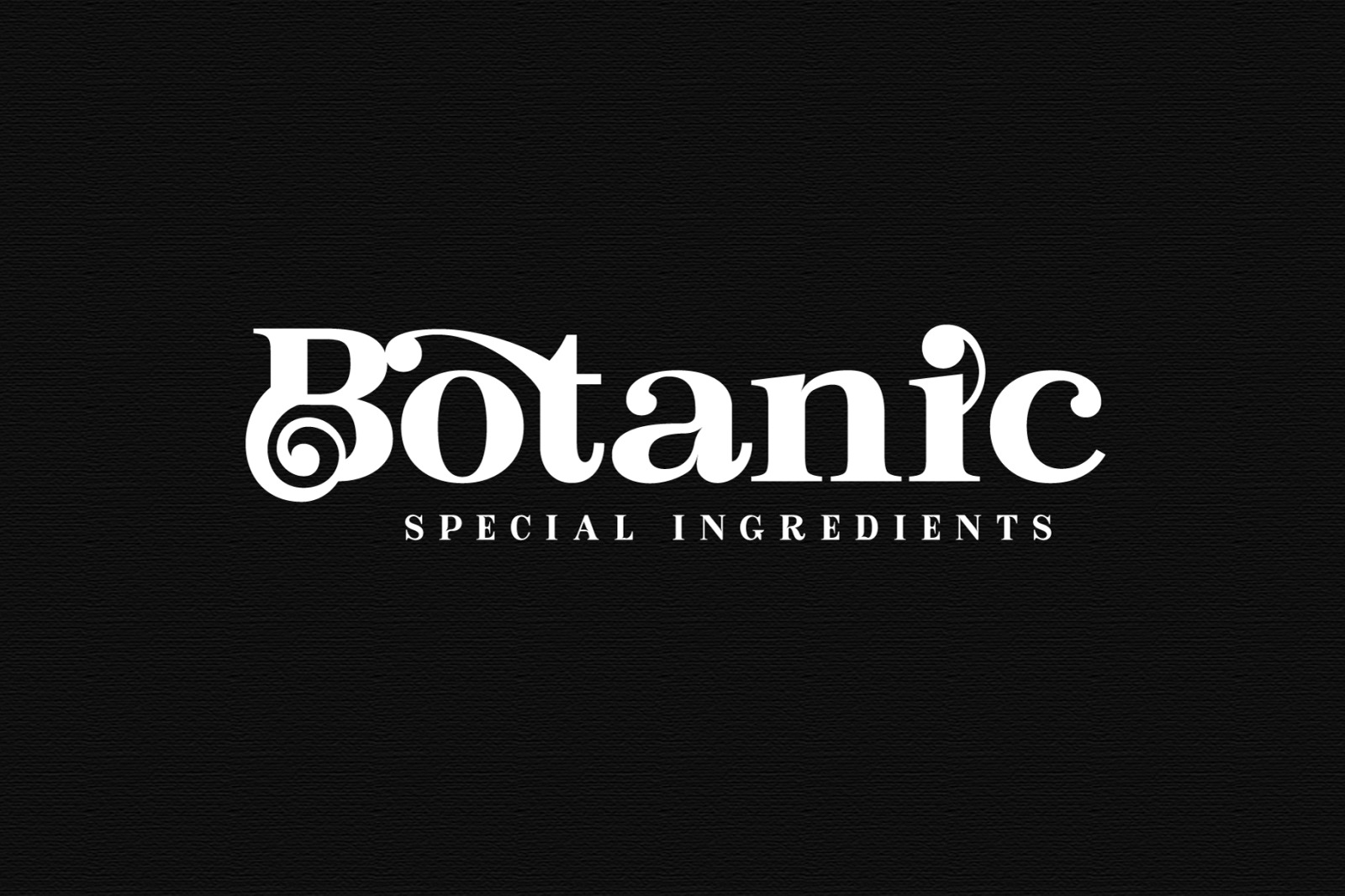 Bastine - Modern Classy Serif Font Bastine - Modern Classy Serif Font