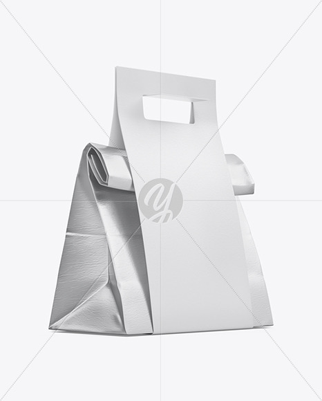 Metallic Paper Bag in Matte Paper Carton Holder with Handle