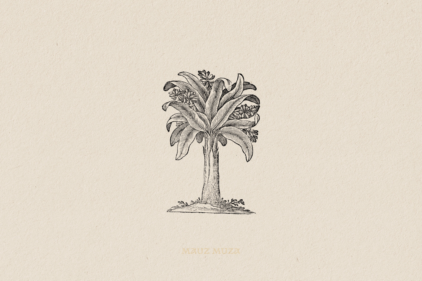 Botanical Illustrations Vol.3 Botanical Illustrations Vol.3