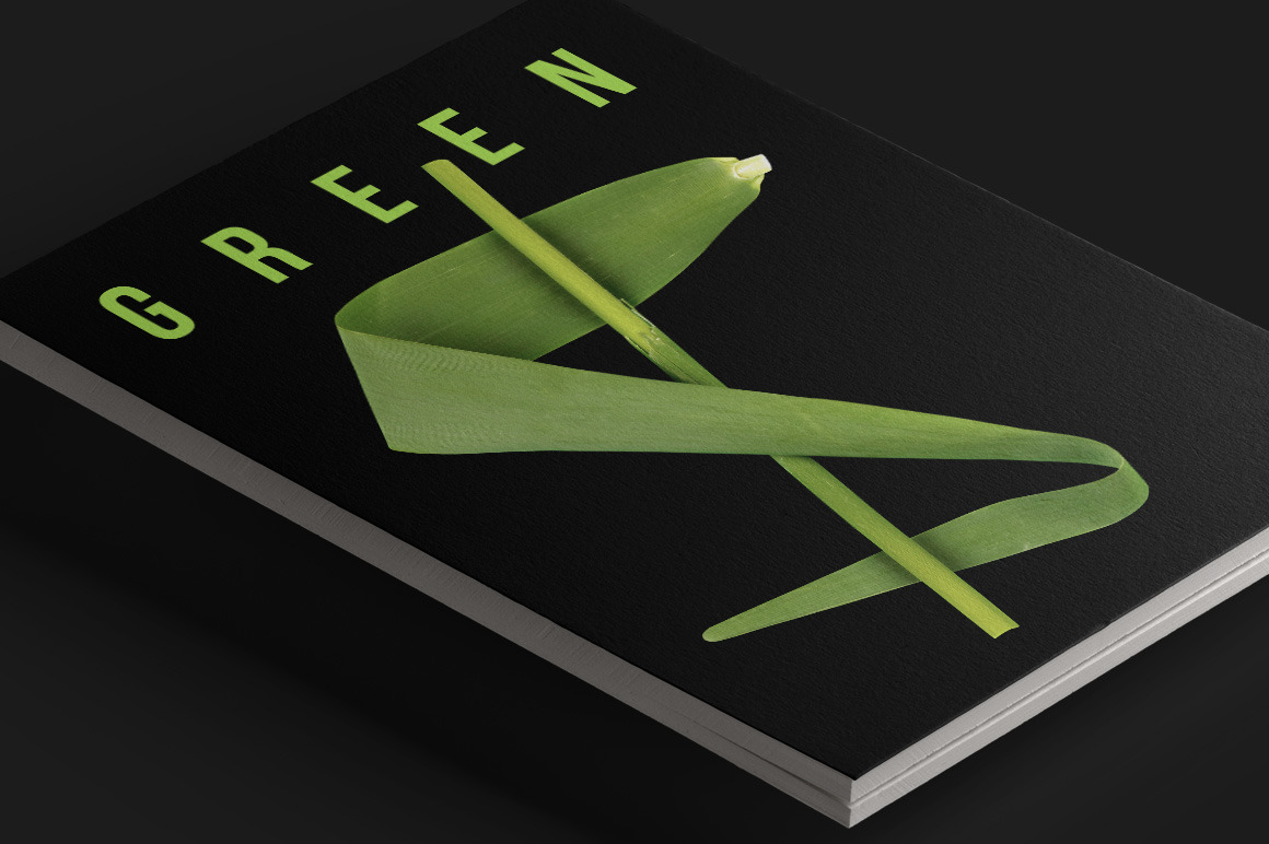 Reed Font Reed Font