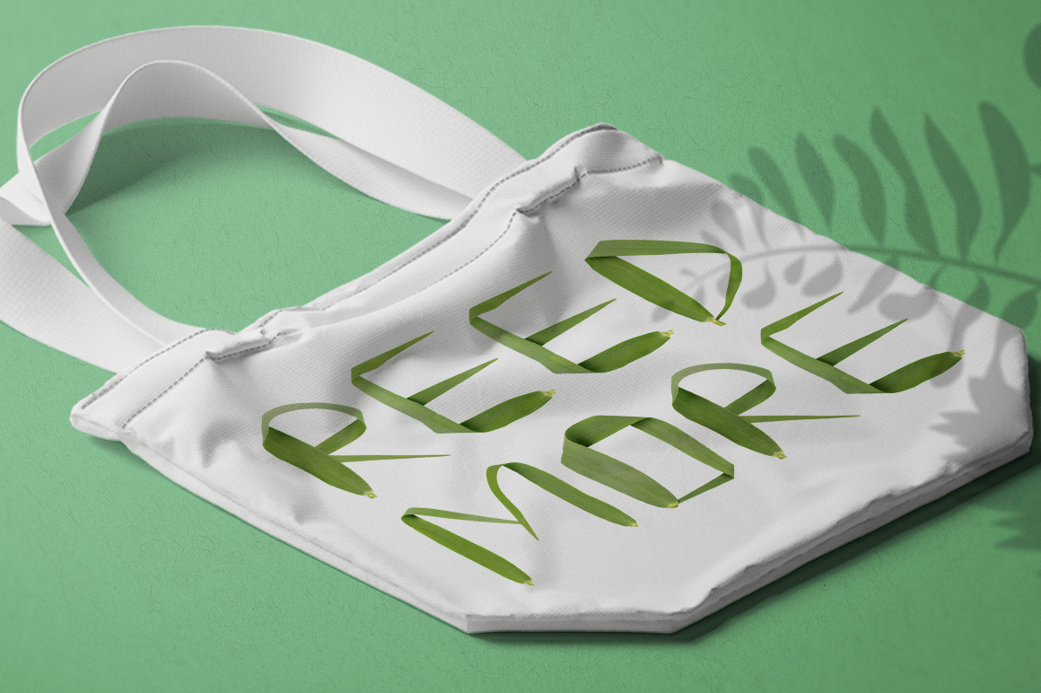 Reed Font Reed Font