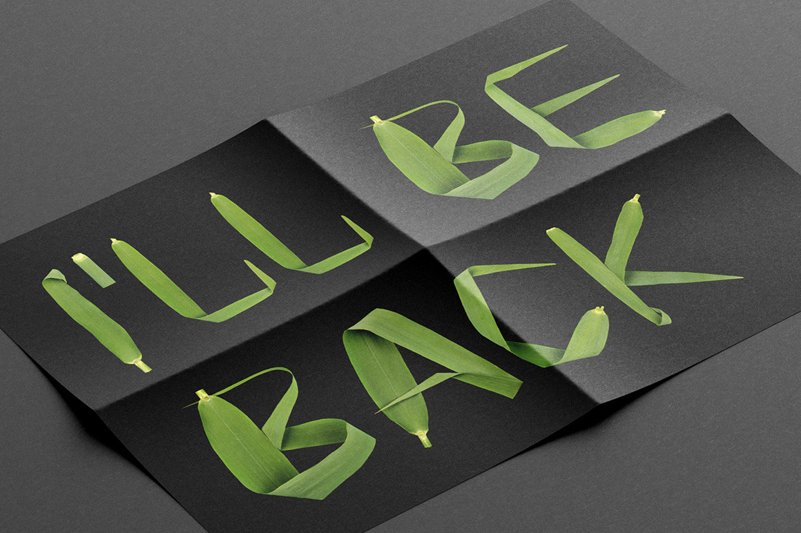 Reed Font Reed Font