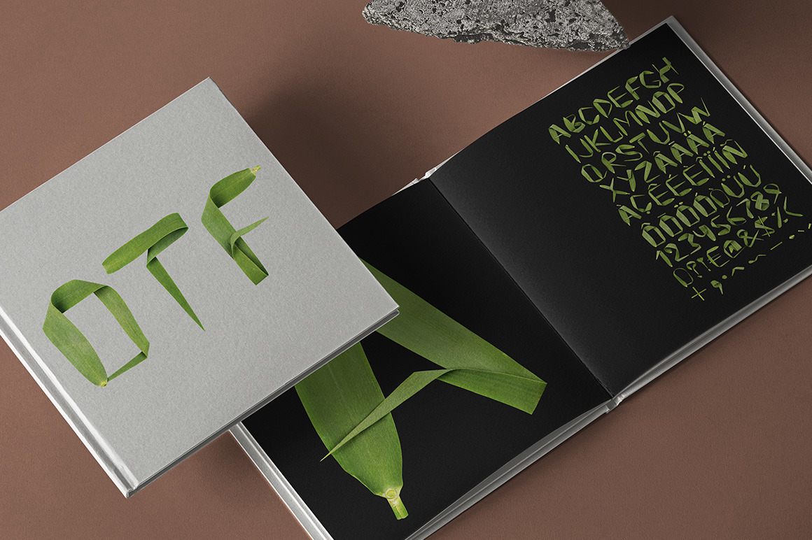 Reed Font Reed Font
