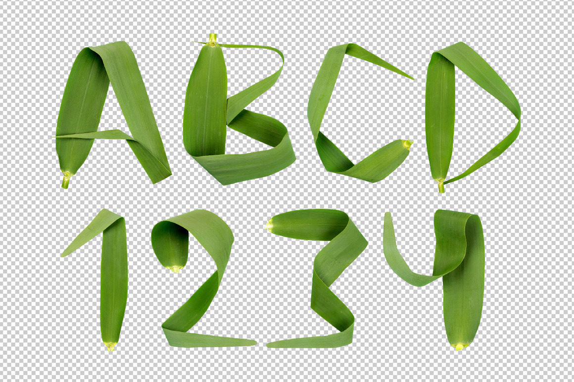 Reed Font Reed Font