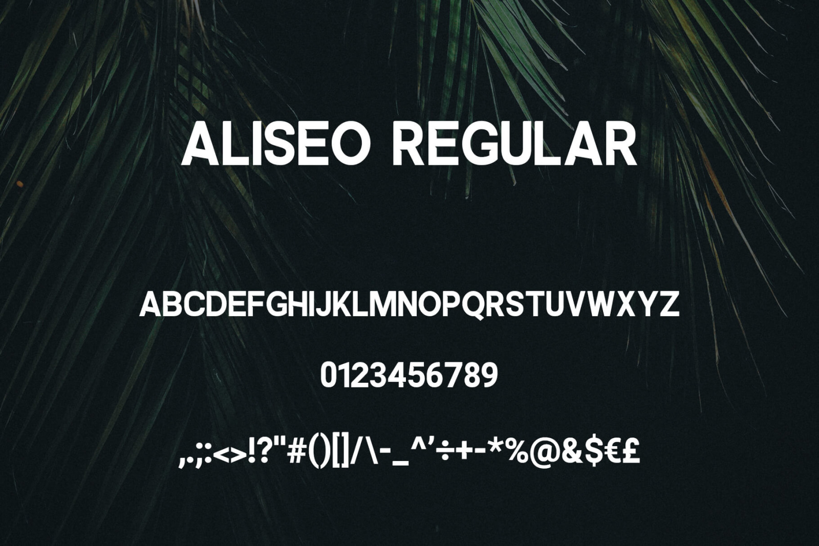 Aliseo Font Family - Sans Serif