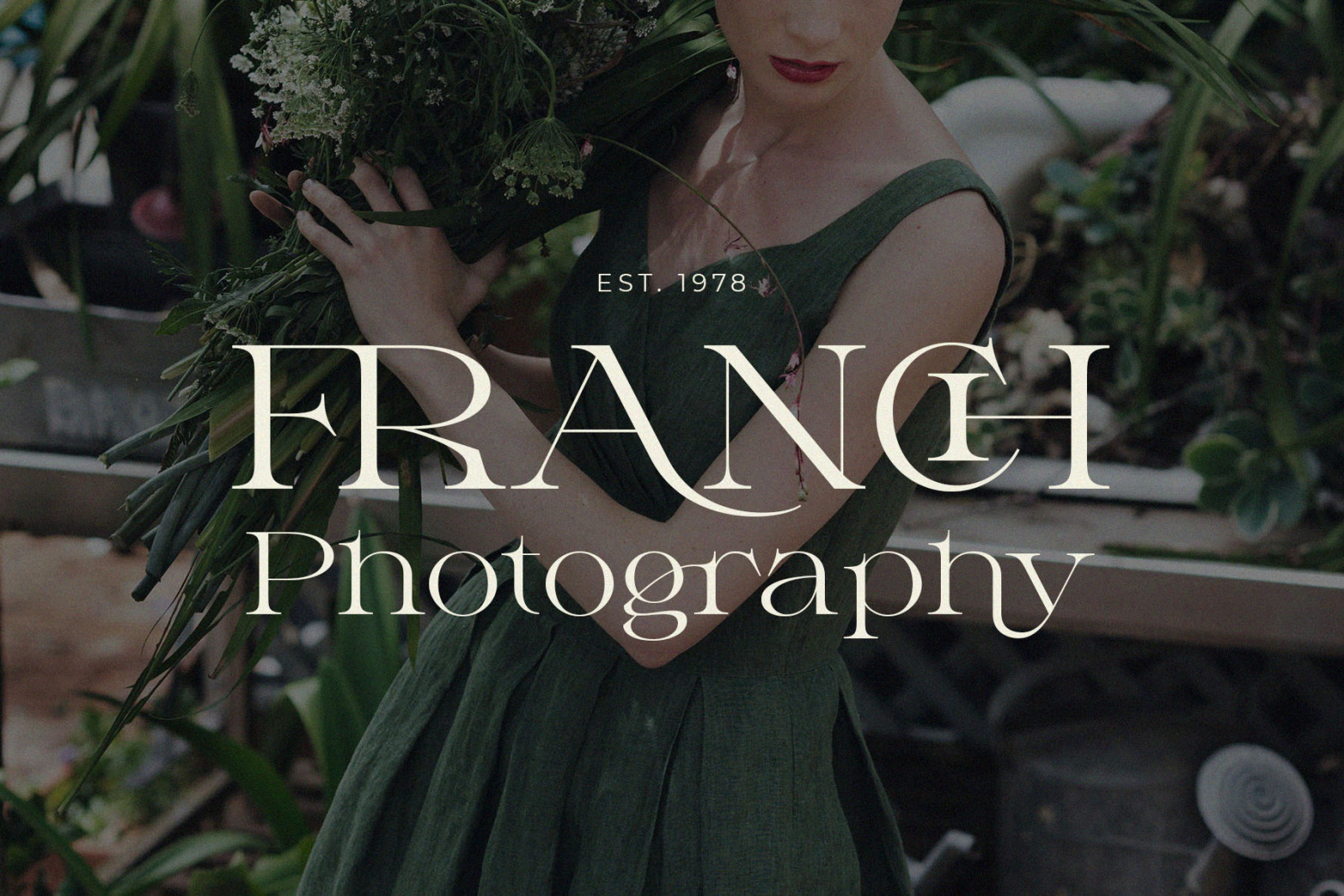 Milssky || Modern & Classy Ligature Serif Milssky || Modern & Classy Ligature Serif