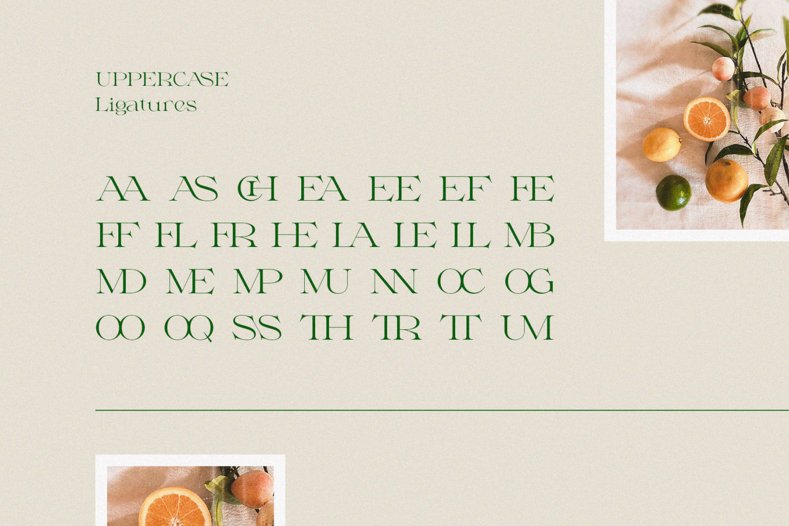 Milssky || Modern & Classy Ligature Serif Milssky || Modern & Classy Ligature Serif