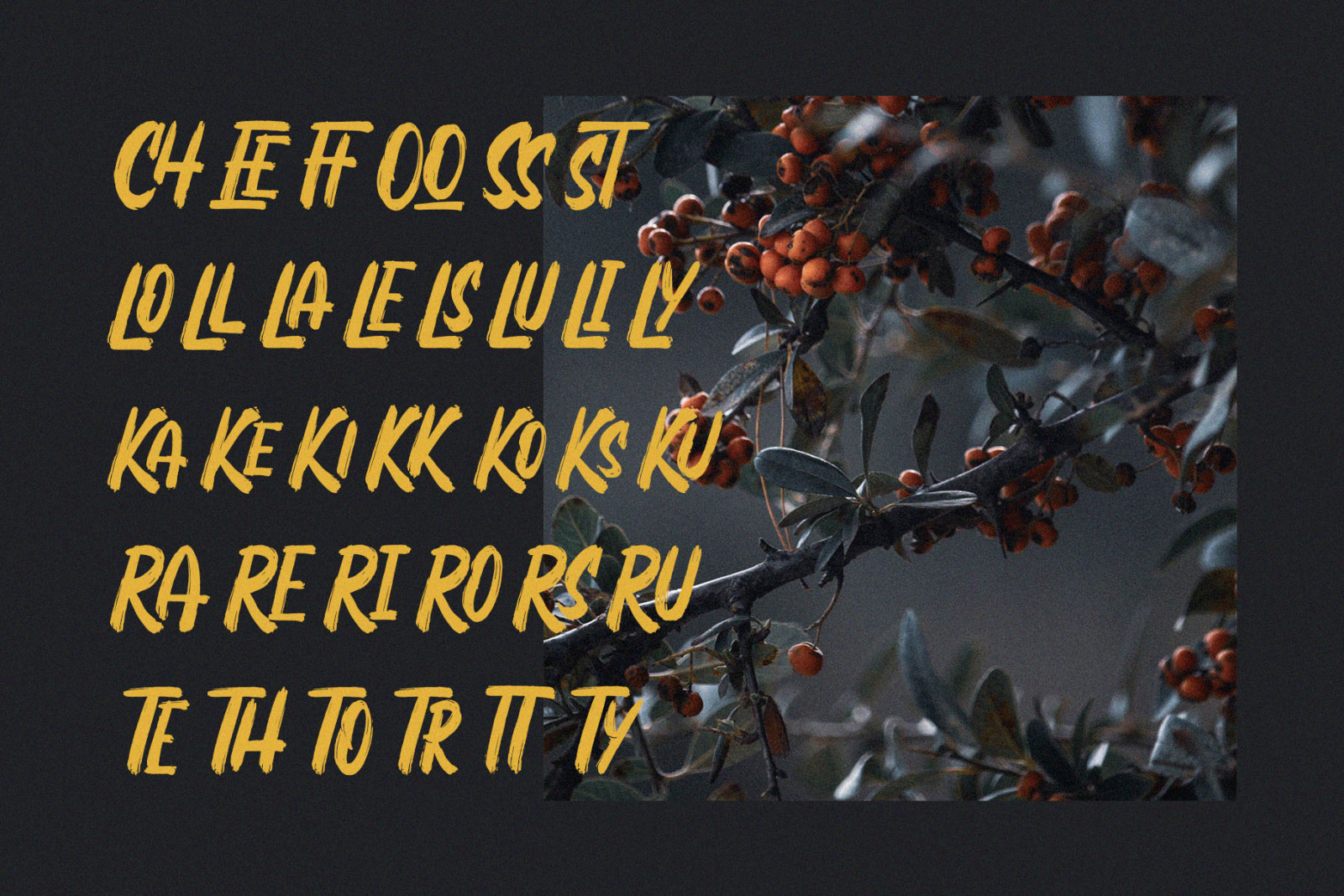 Rogersan – Brush Font Rogersan – Brush Font