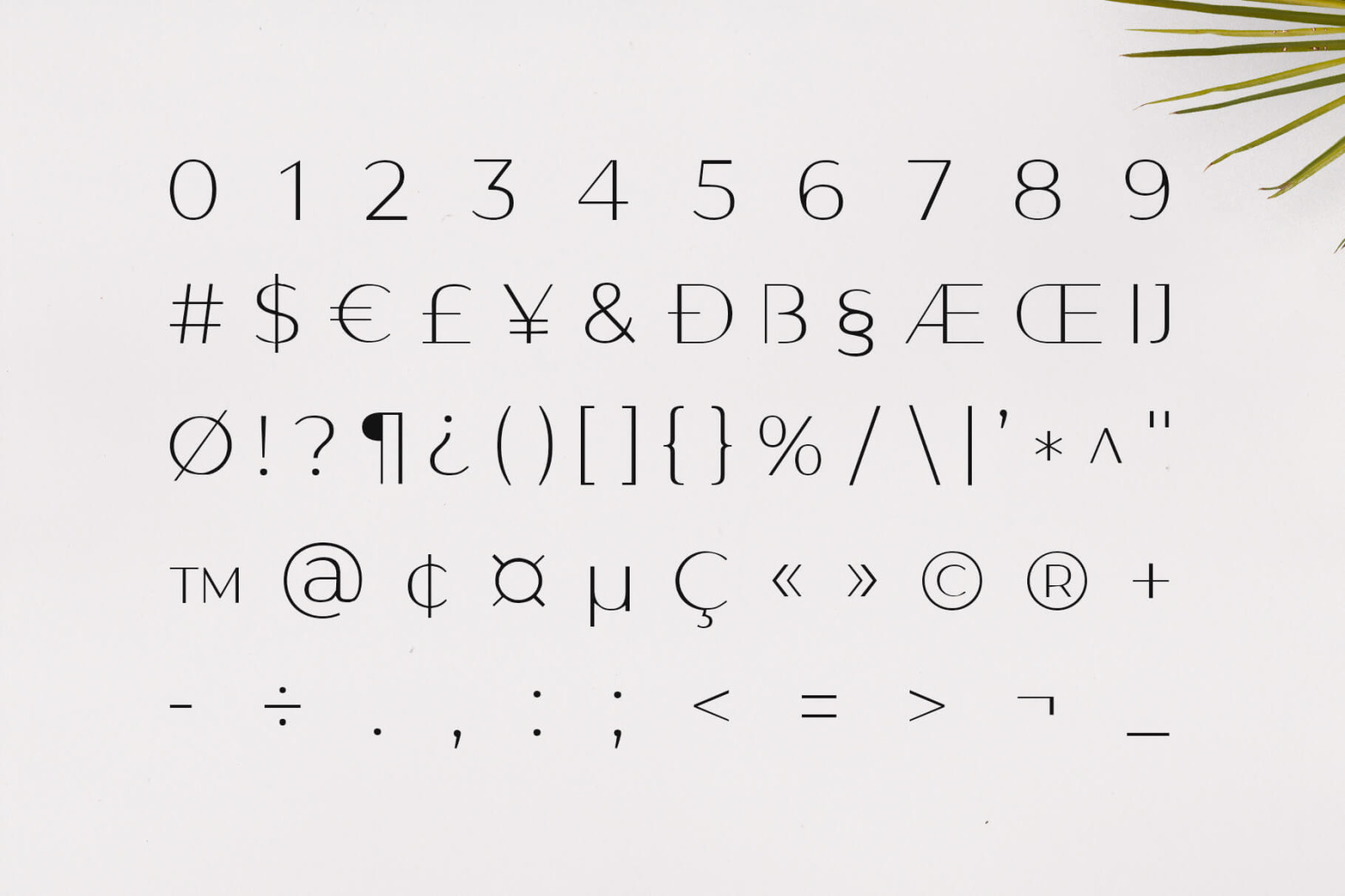 Gantic Font Family - Sans Serif Gantic Font Family - Sans Serif