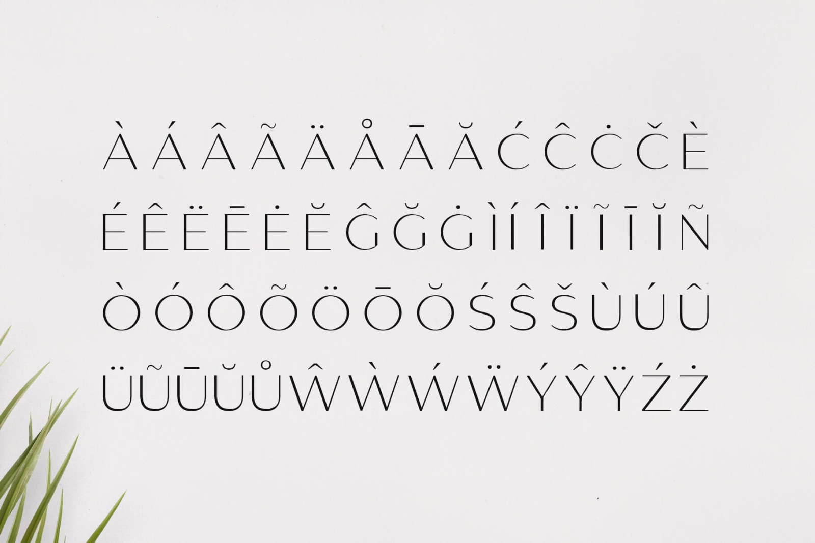 Gantic Font Family - Sans Serif