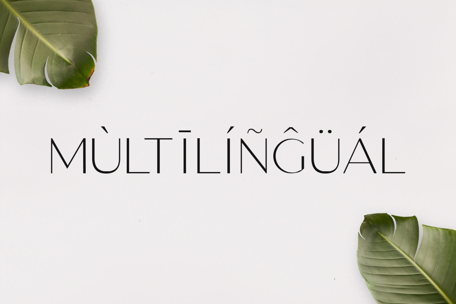 Gantic Font Family - Sans Serif Gantic Font Family - Sans Serif