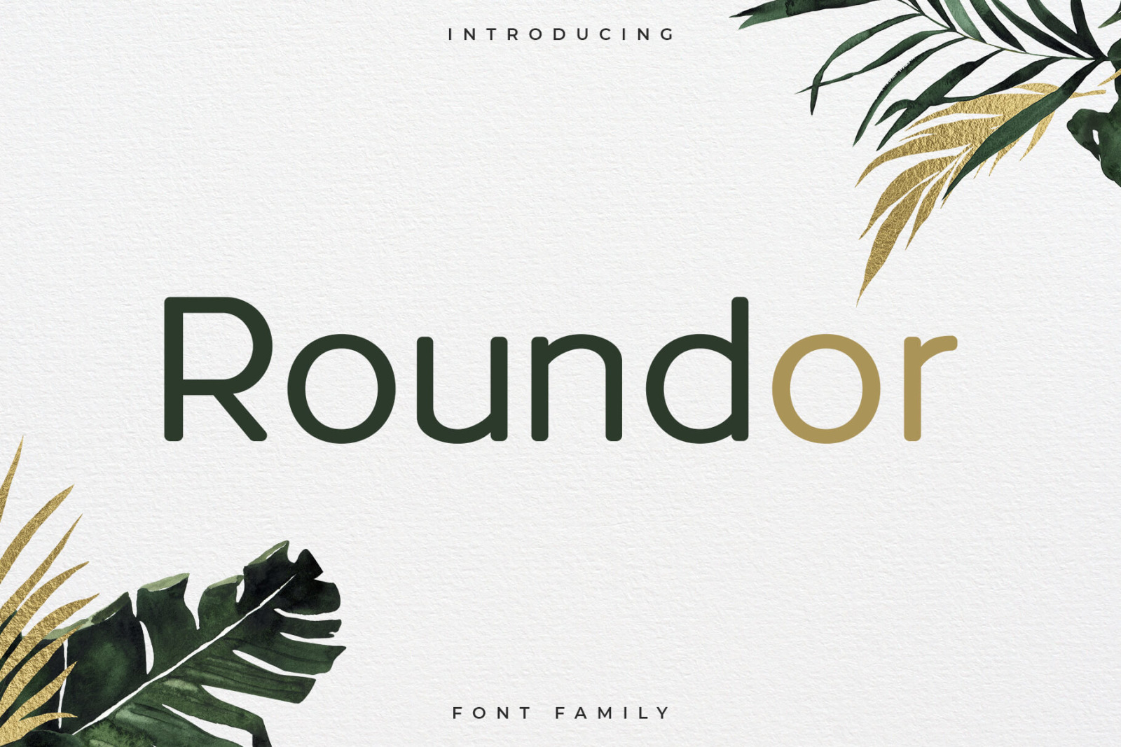 Roundor Font Family - Sans Serif Roundor Font Family - Sans Serif