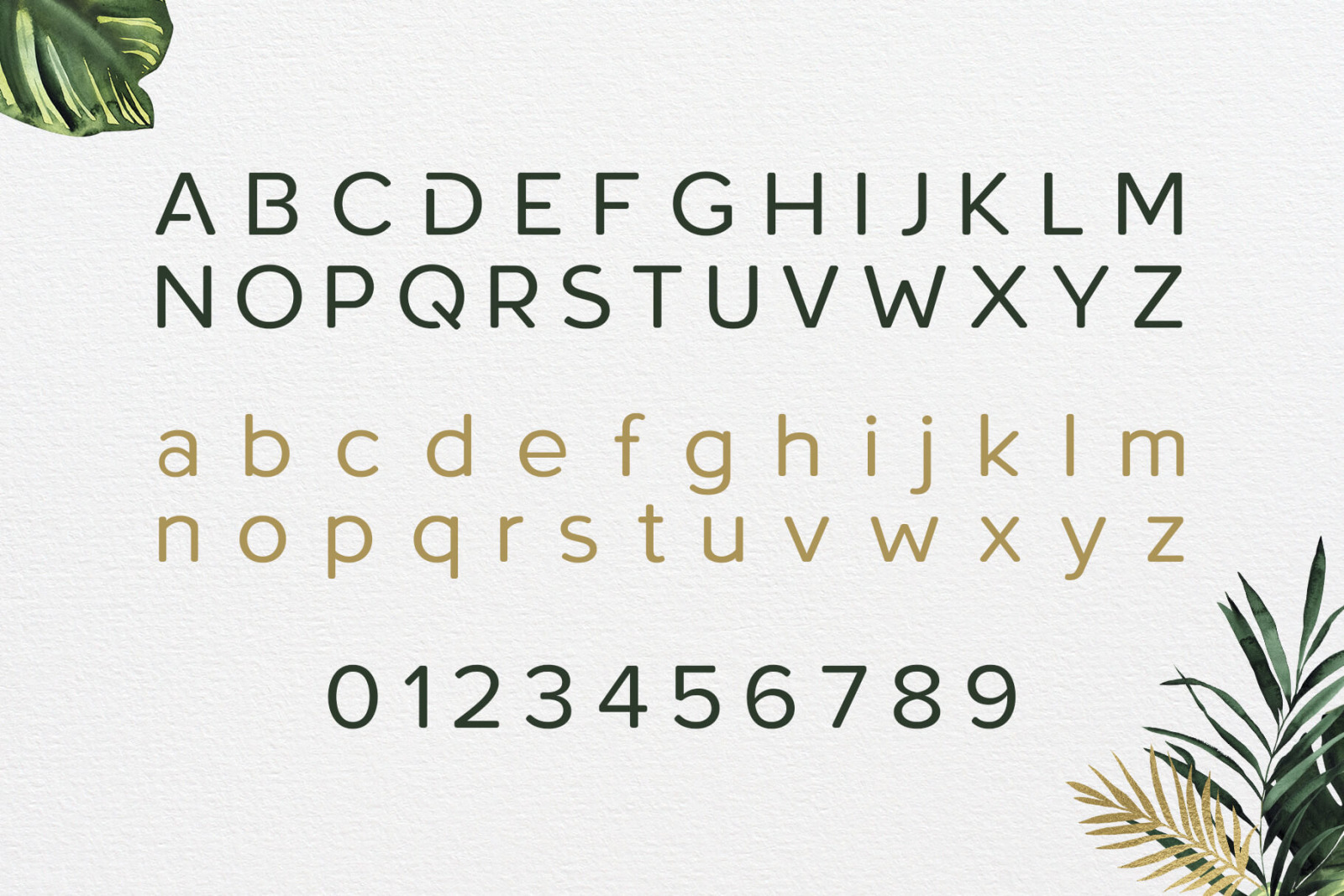 Roundor Font Family - Sans Serif Roundor Font Family - Sans Serif