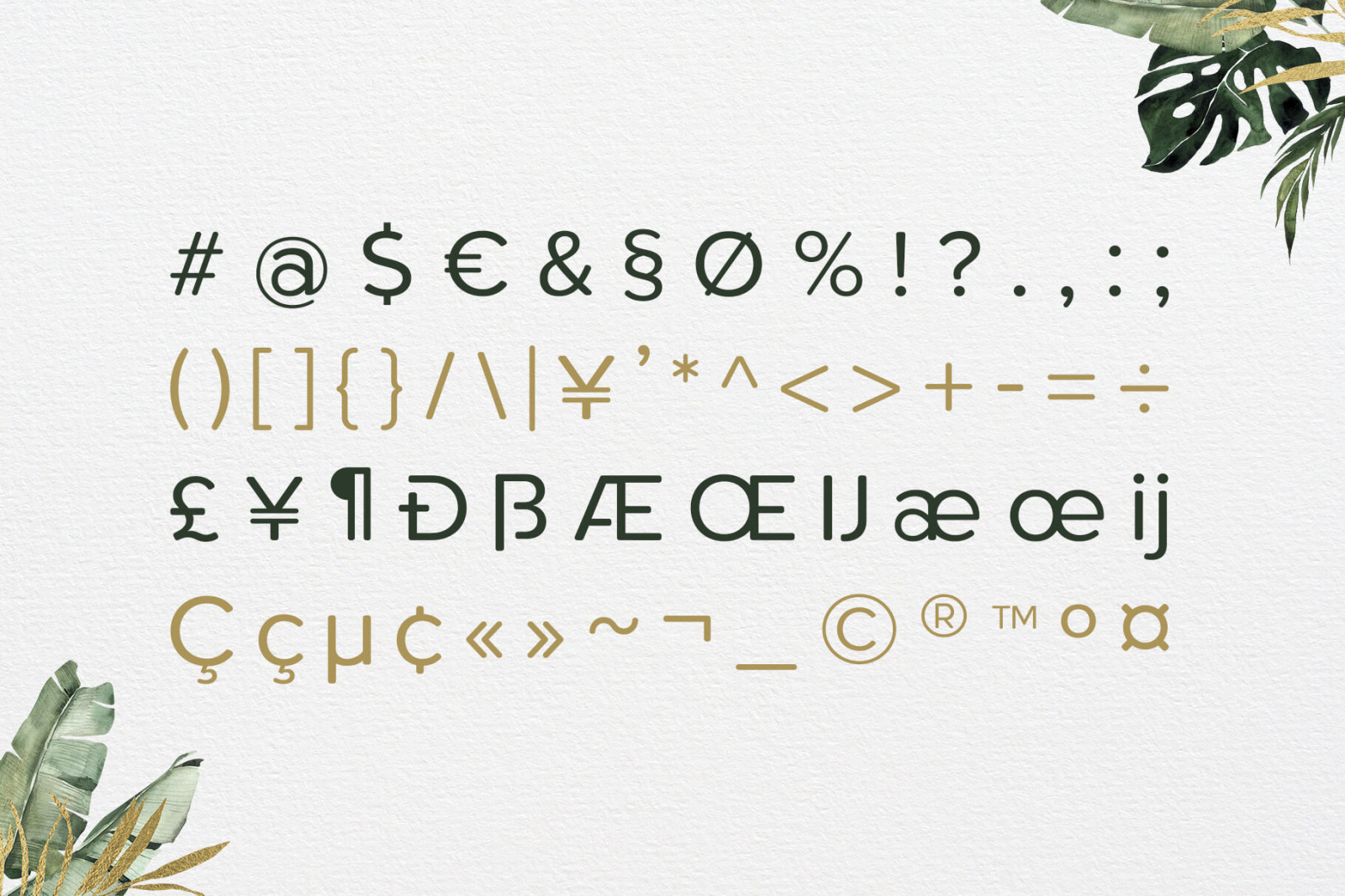 Roundor Font Family - Sans Serif Roundor Font Family - Sans Serif