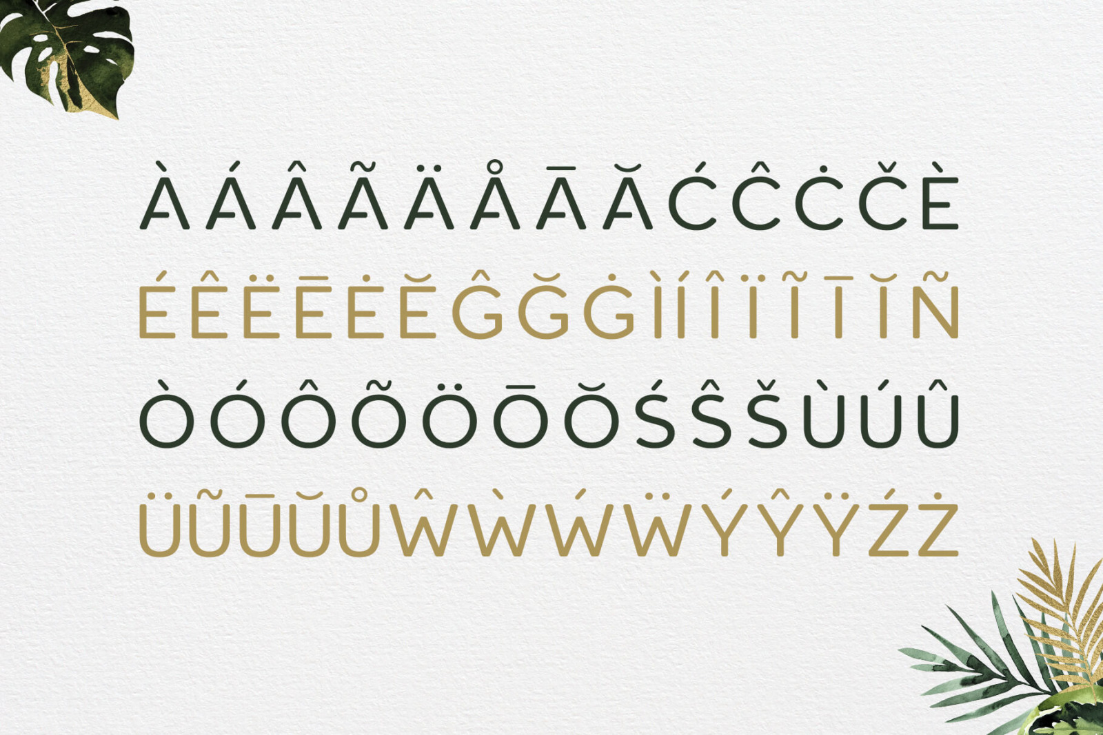 Roundor Font Family - Sans Serif Roundor Font Family - Sans Serif