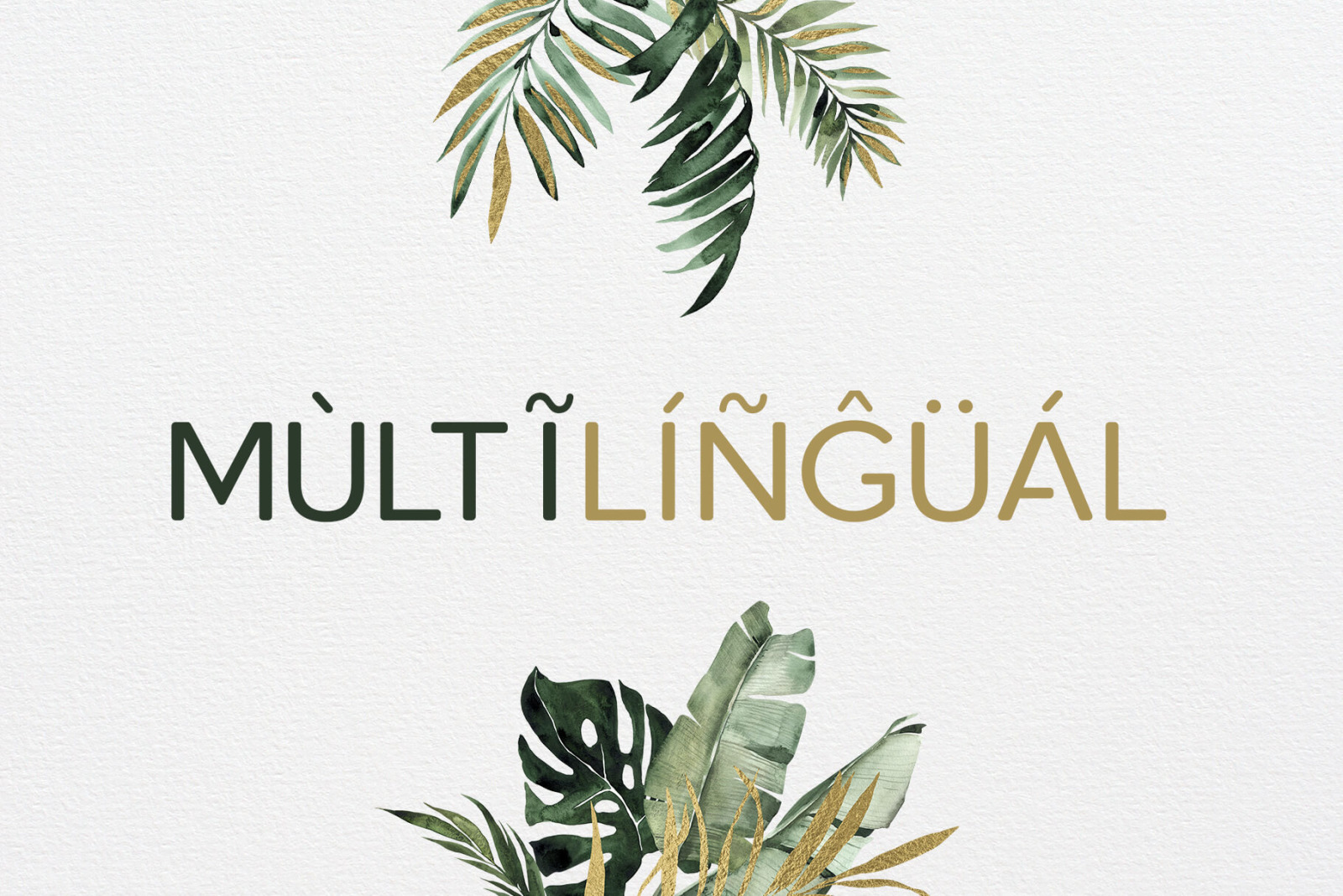 Roundor Font Family - Sans Serif Roundor Font Family - Sans Serif