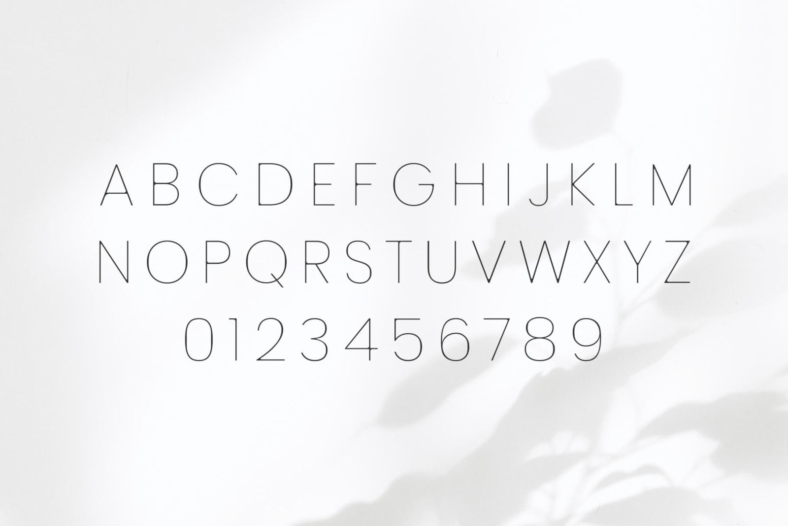 Desiras Font Family - Sans Serif