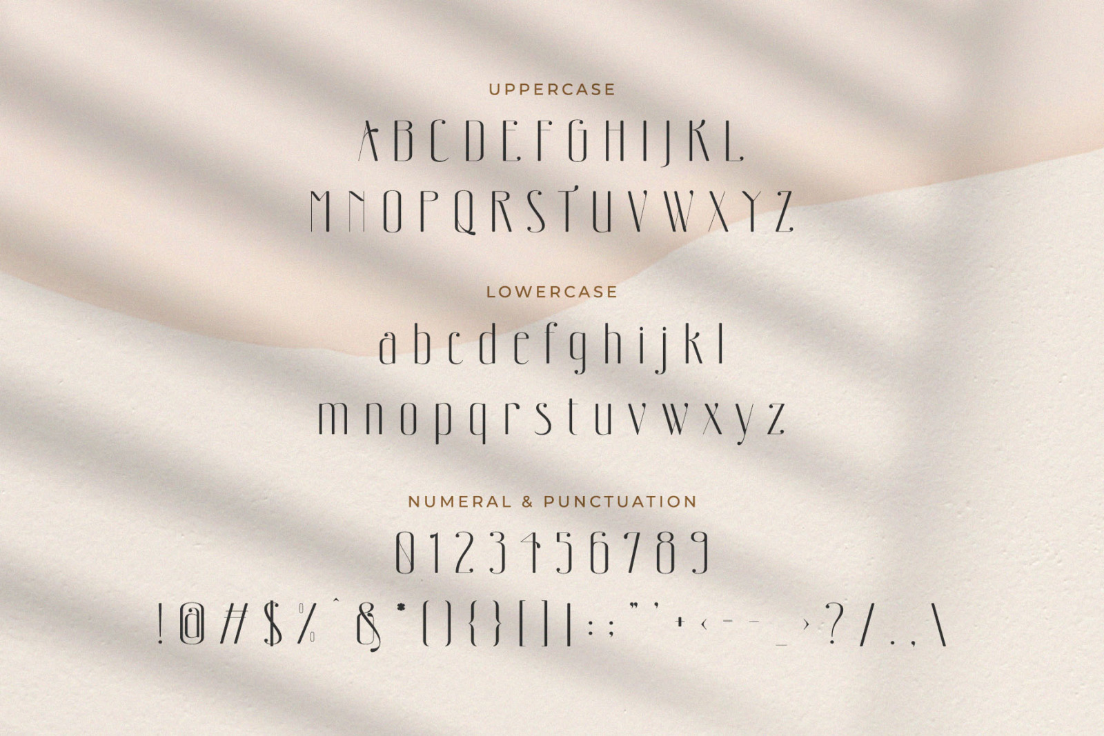 Bottune – Classic Casual Sans Serif