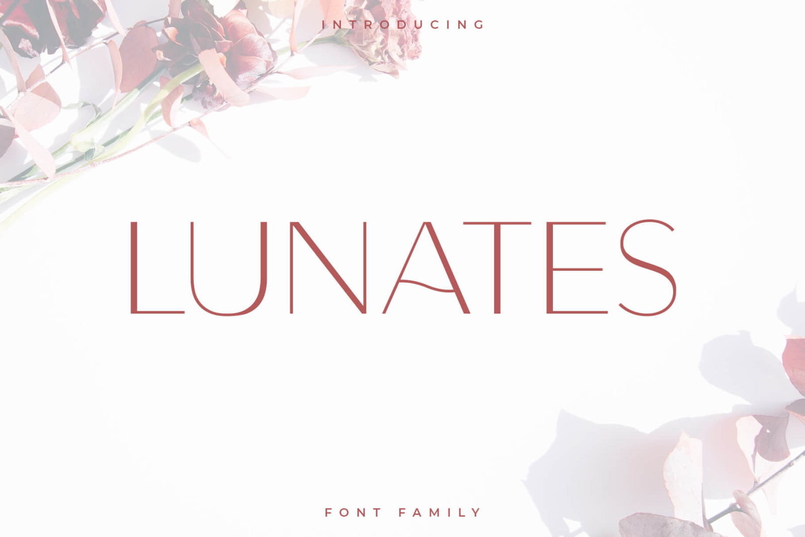 Lunates Font Family – Sans Serif